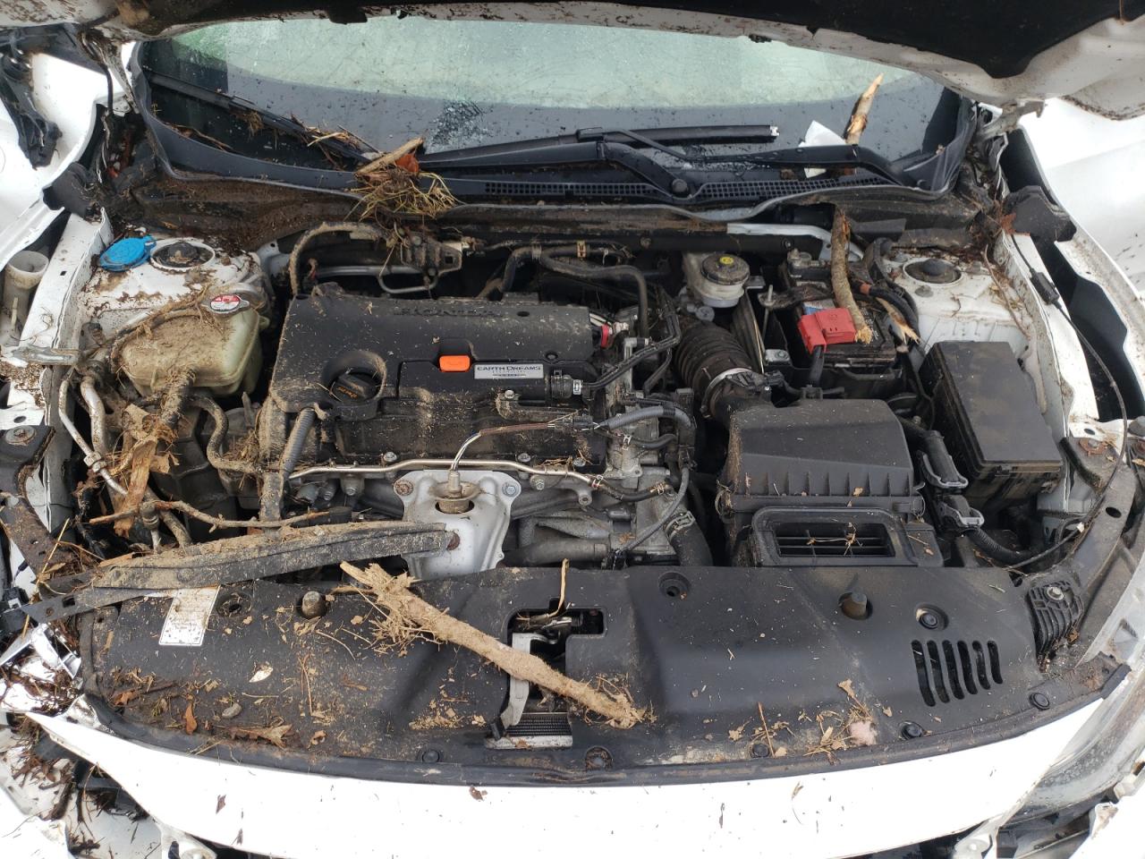Photo 7 from auction – 2016 HONDA CIVIC LX with VIN 19XFC2F50GE011033