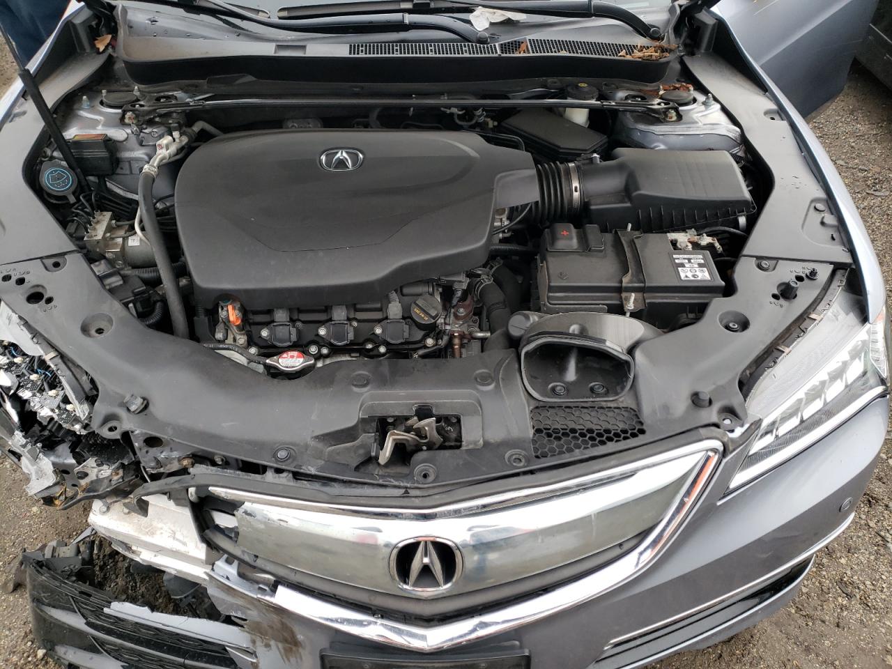 Photo 7 from auction – 2015 ACURA TLX ADVANC with VIN 19UUB3F76FA009632