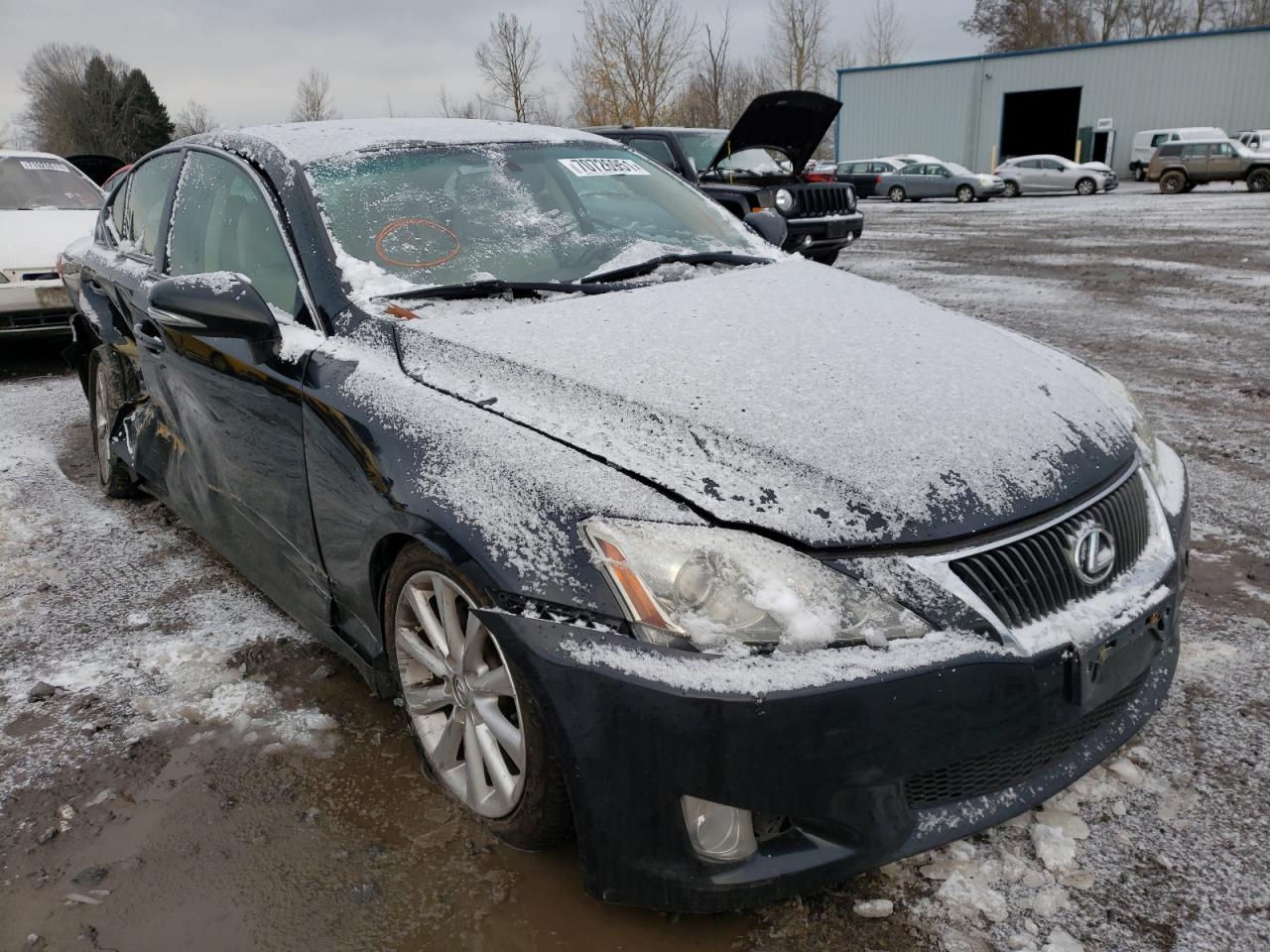 LEXUS IS 250 2010 with VIN JTHBF5C2XA5116441 - Photo from auction