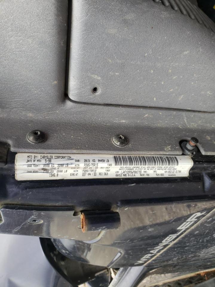 Photo 10 from auction – 1998 JEEP WRANGLER / with VIN 1J4FY29P6WP802755