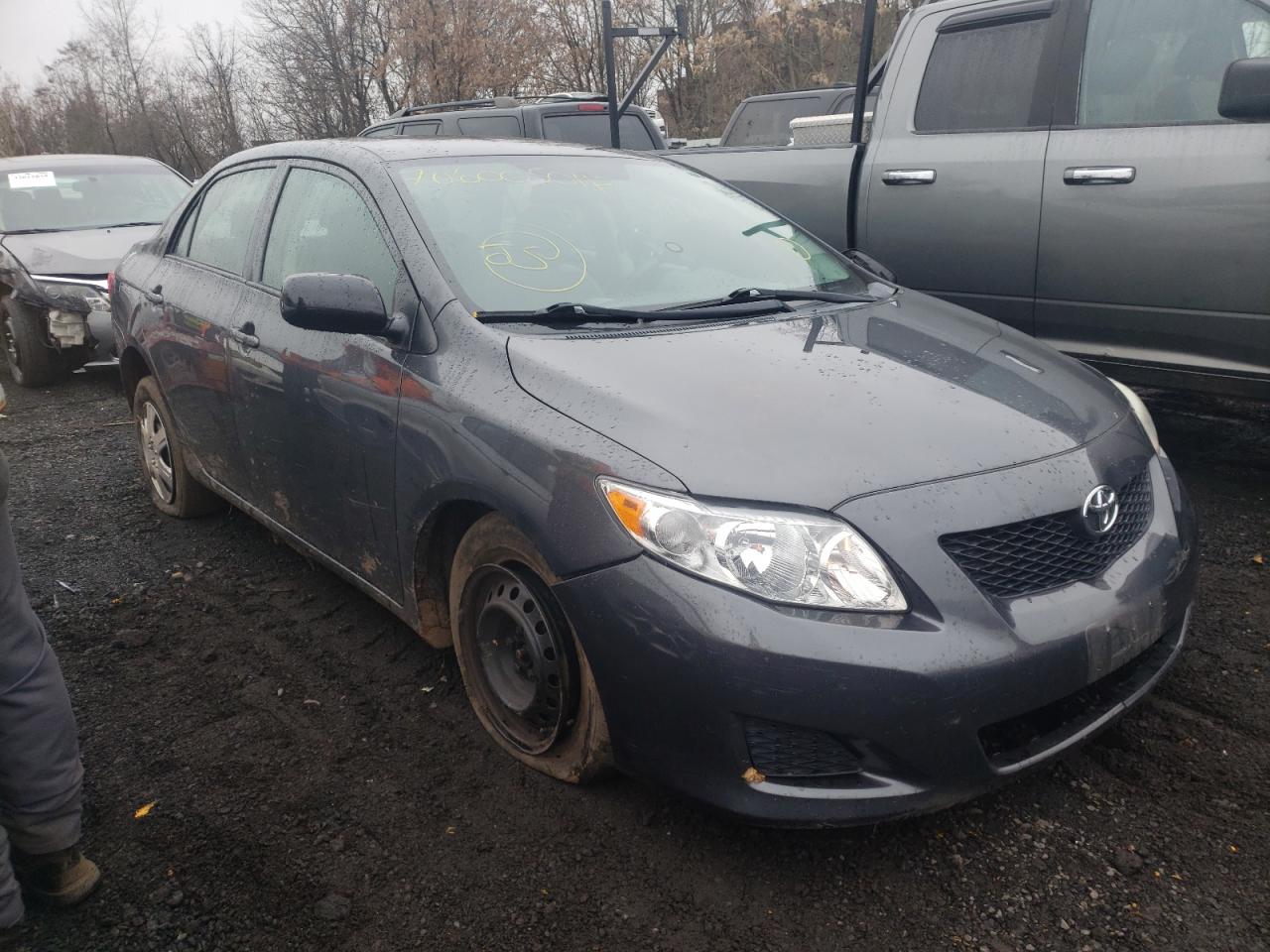 TOYOTA COROLLA BA 2010 with VIN 2T1BU4EE8AC197726 - Photo from auction