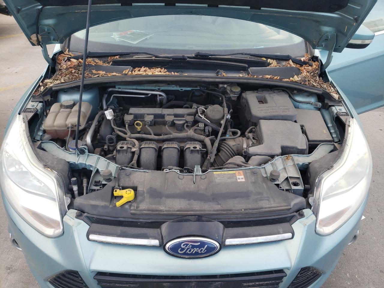 Photo 7 from auction – 2012 FORD FOCUS with VIN 1FAHP3M24CL156255