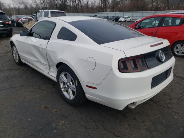 Photo 3 from auction – 2013 FORD MUSTANG with VIN 1ZVBP8AM0D5259355