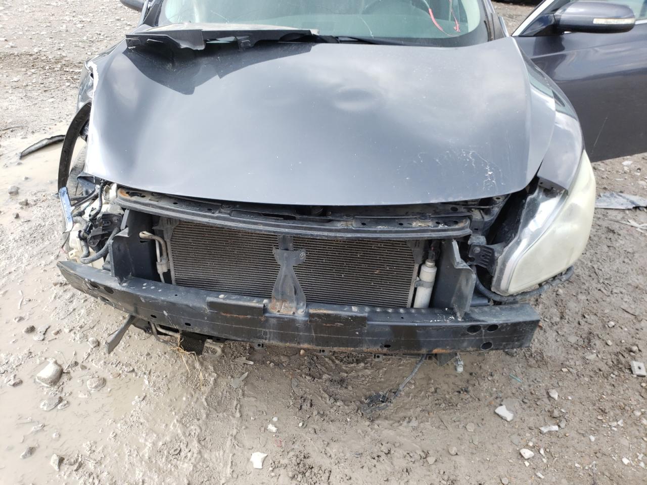Photo 9 from auction – 2009 NISSAN MAXIMA S with VIN 1N4AA51E59C840818