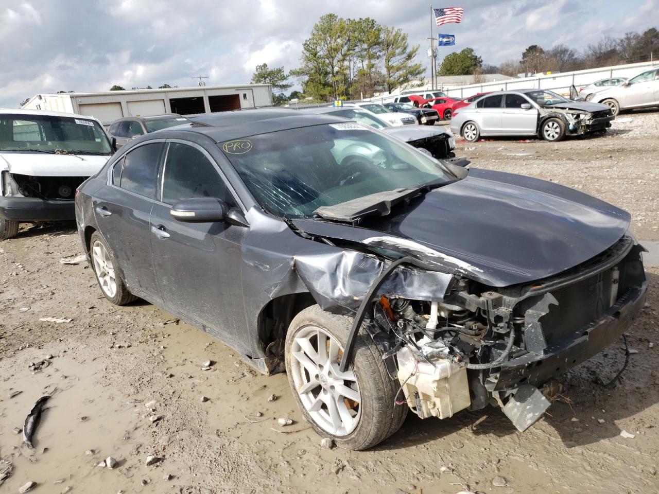 NISSAN MAXIMA S 2009 with VIN 1N4AA51E59C840818 - Photo from auction