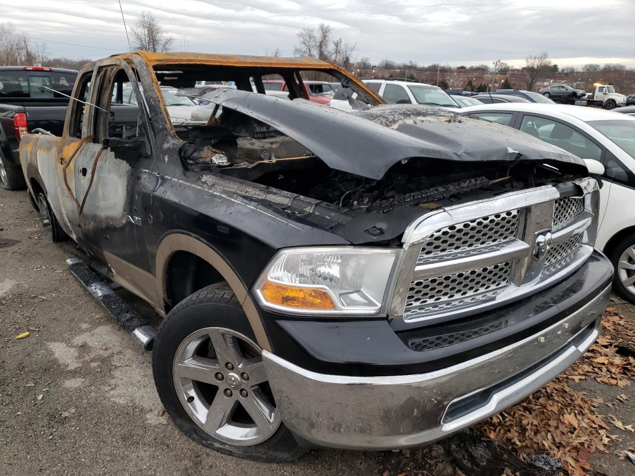 DODGE RAM 1500 2009 with VIN 1D3HV18P59S753771 - Photo from auction