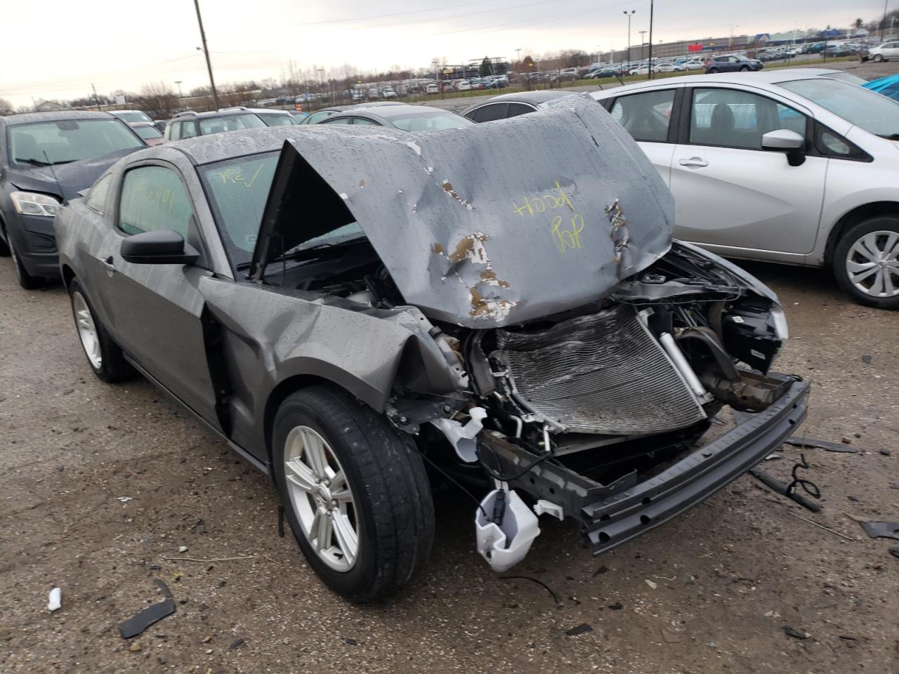 Photo 1 from auction – 2011 FORD MUSTANG with VIN 1ZVBP8AM2B5149226