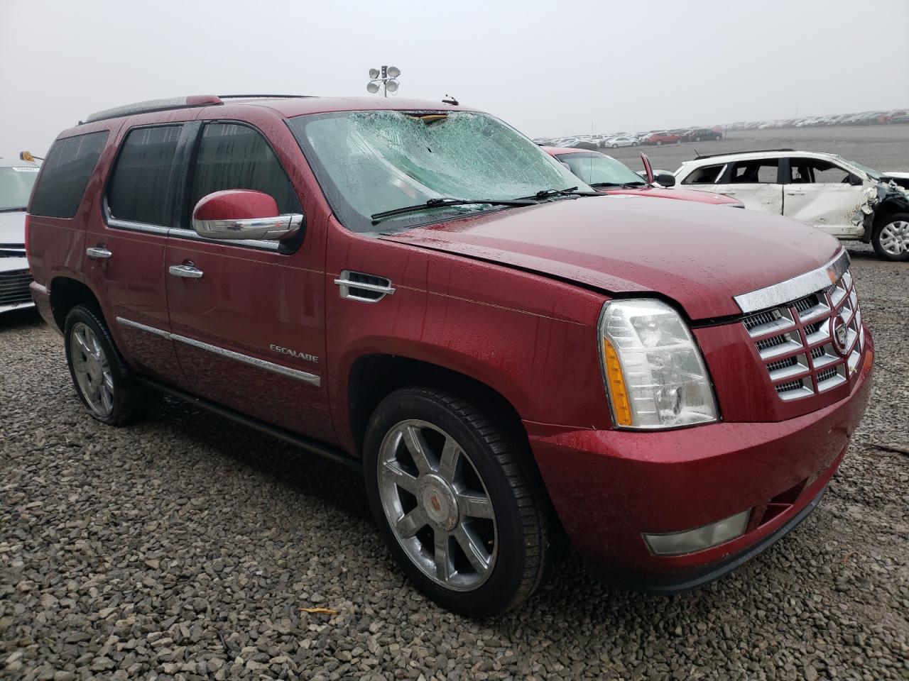 CADILLAC ESCALADE P 2011 with VIN 1GYS4CEF1BR208683 - Photo from auction