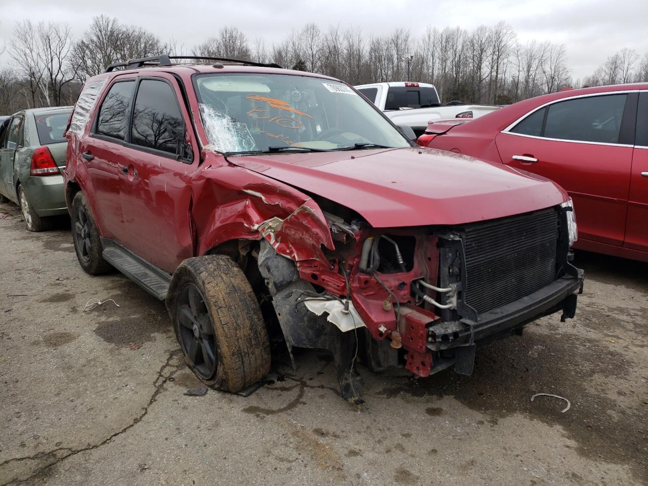 FORD ESCAPE XLT 2009 with VIN 1FMCU93G99KB21119 - Photo from auction
