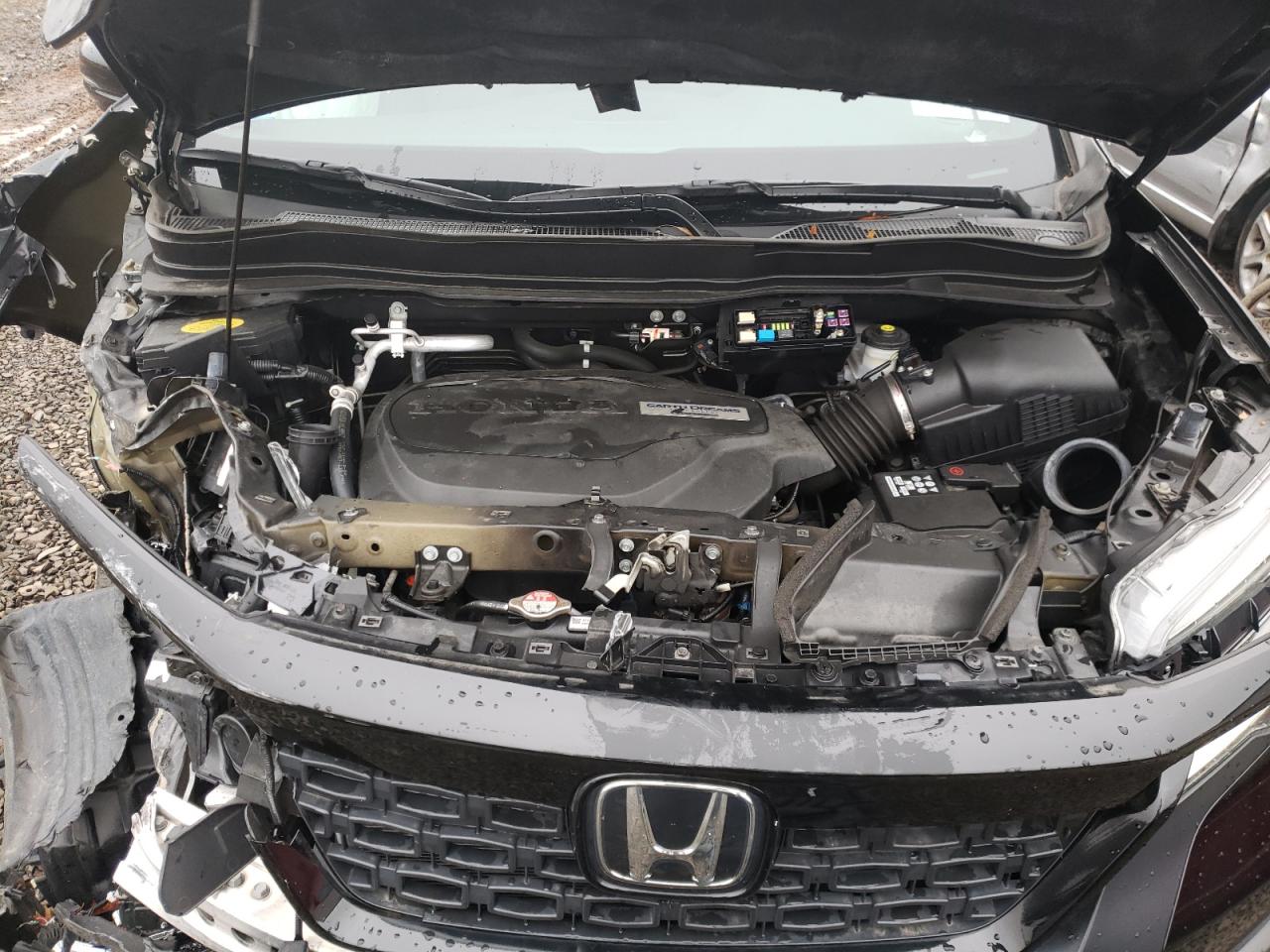 Photo 7 from auction – 2019 HONDA PASSPORT E with VIN 5FNYF8H06KB002490