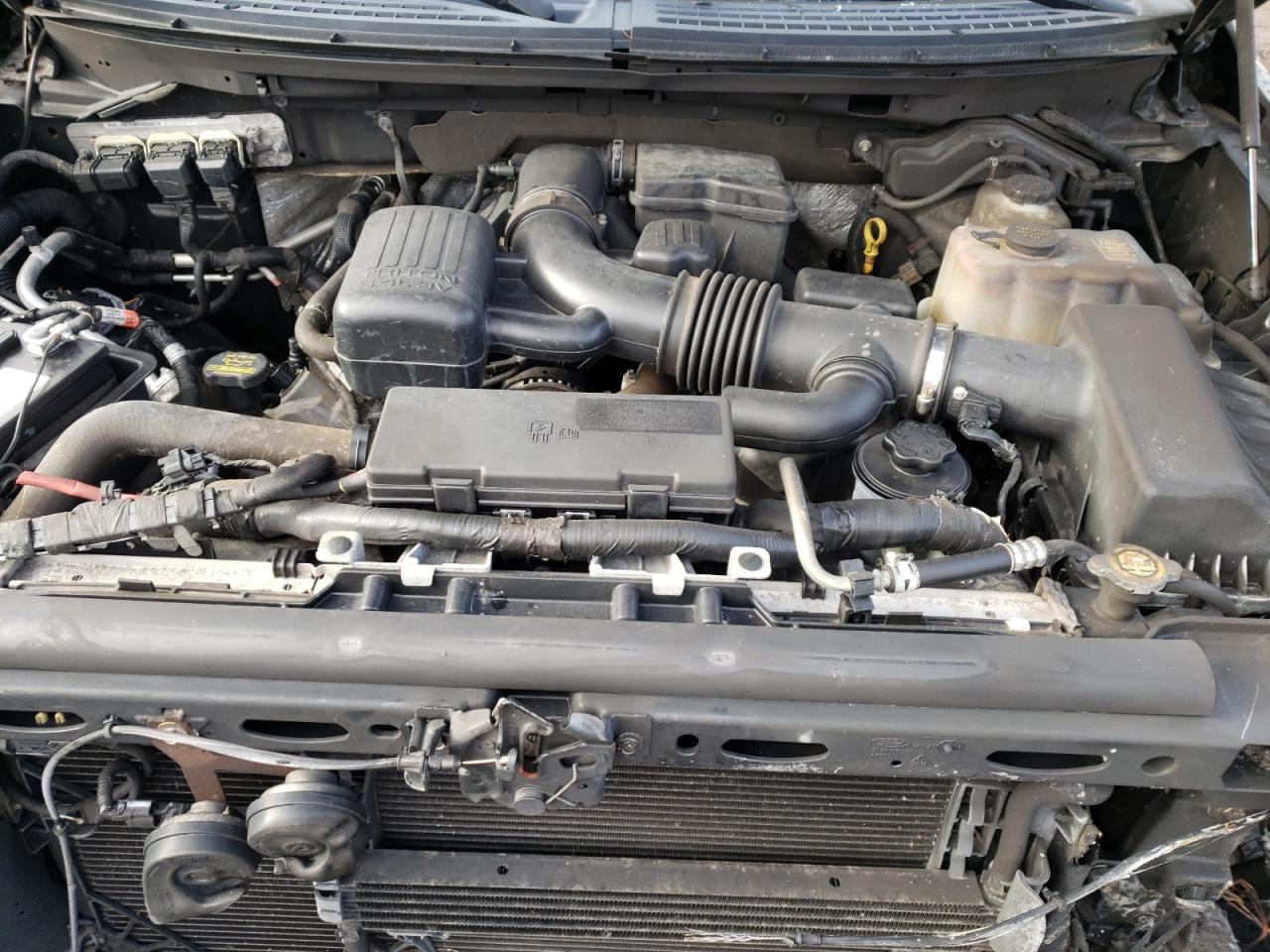 Photo 7 from auction – 2010 FORD F150 SUPER with VIN 1FTFW1EV0AFC87633