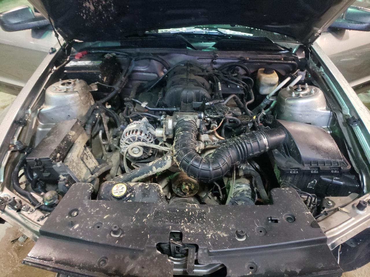 Photo 7 from auction – 2008 FORD MUSTANG with VIN 1ZVHT80N585106797
