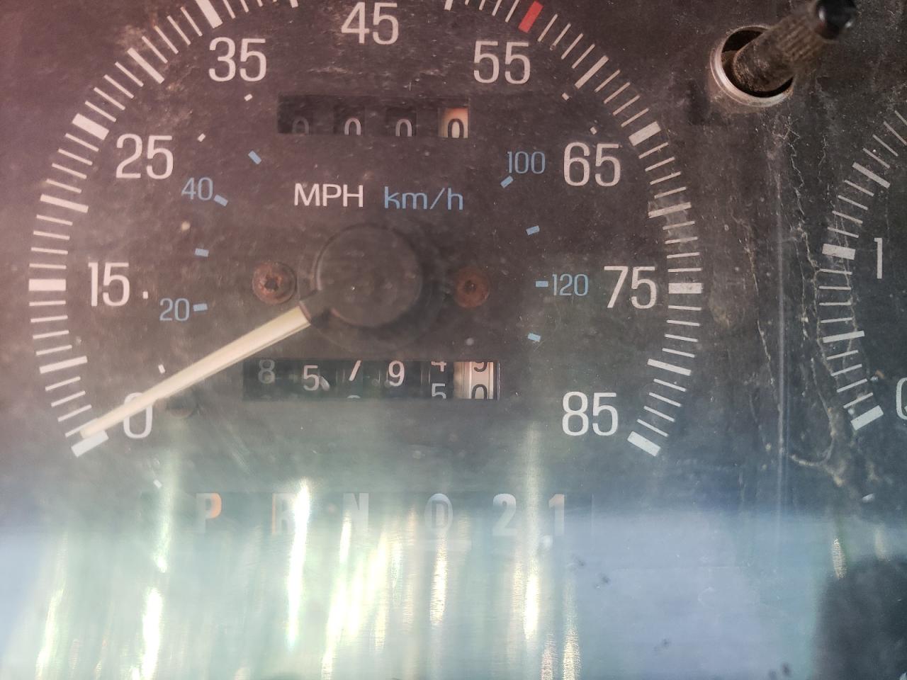 Photo 8 from auction – 1991 FORD F150 with VIN 1FTEF14H7MPA53995