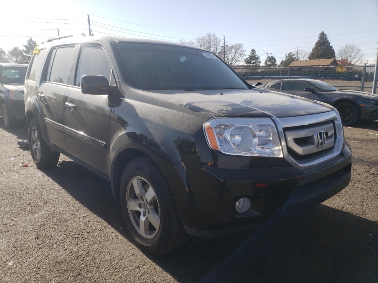 HONDA PILOT EXL 2011 with VIN 5FNYF4H52BB043087 - Photo from auction