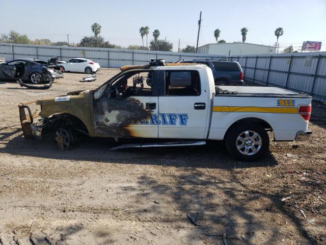 Photo 10 from auction – 2013 FORD F150 SUPER with VIN 1FTFW1EF3DKE69587