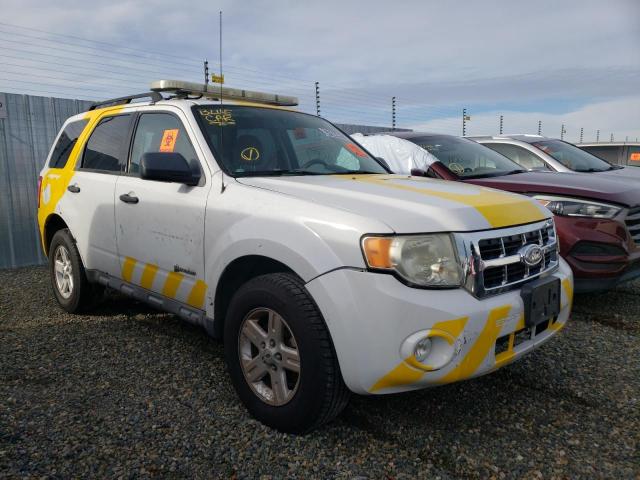 FORD ESCAPE HYB 2010 with VIN 1FMCU5K33AKD08271 - Photo from auction