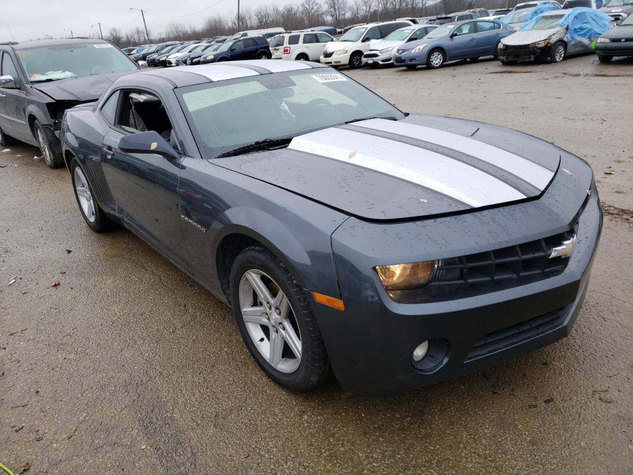 CHEVROLET CAMARO LT 2010 with VIN 2G1FF1EV0A9176128 - Photo from auction