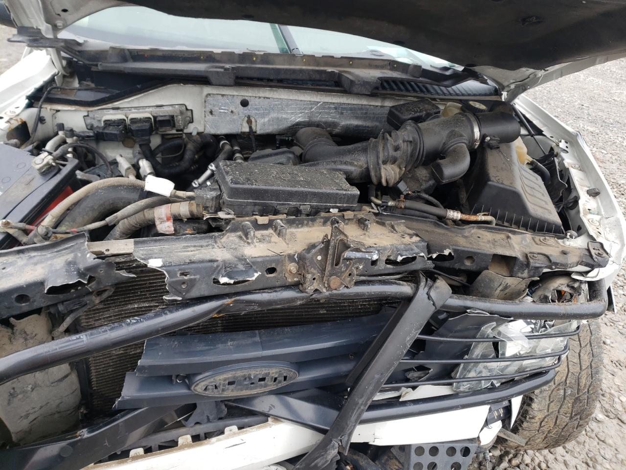 Photo 7 from auction – 2008 FORD EXPEDITION with VIN 1FMFU16538LA66572