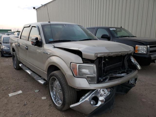 FORD F150 SUPER 2010 with VIN 1FTEW1C84AFB08941 - Photo from auction