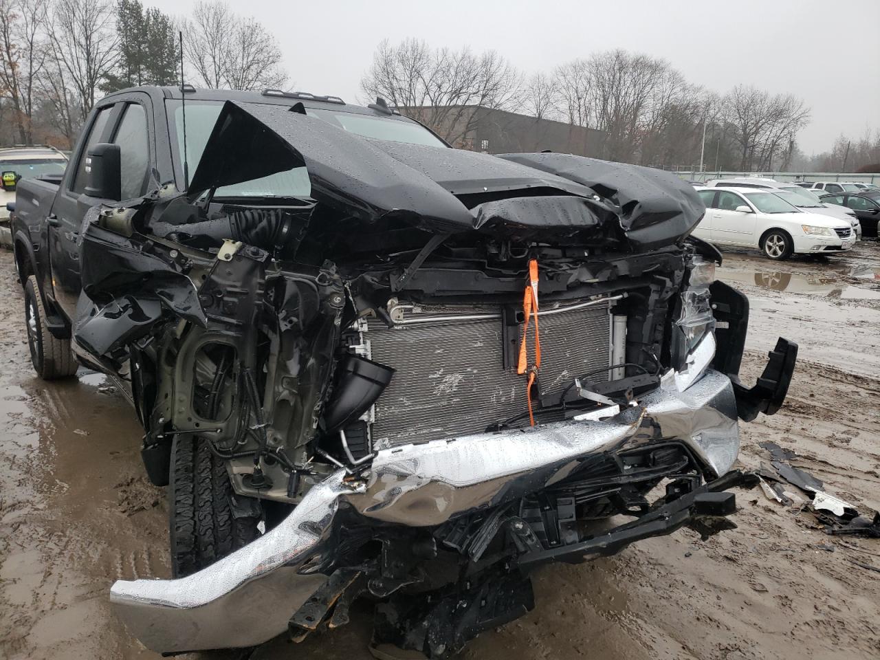 CHEVROLET SILVERADO 2020 with VIN 1GC5YNE77LF289333 - Photo from auction