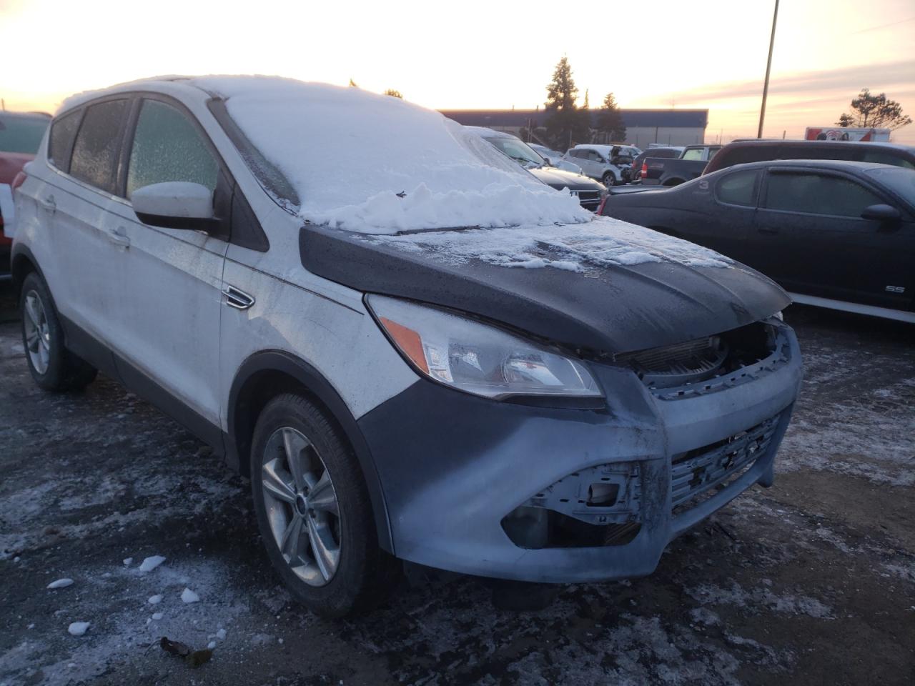 FORD ESCAPE SE 2014 with VIN 1FMCU0GX6EUC46115 - Photo from auction
