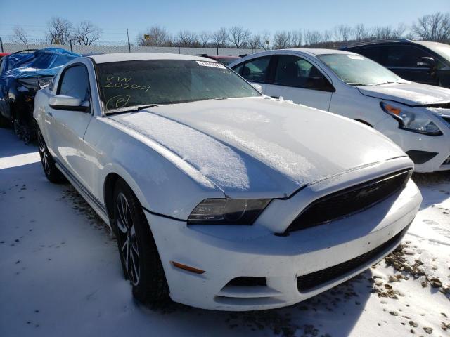 FORD MUSTANG 2014 with VIN 1ZVBP8AM8E5202001 - Photo from auction