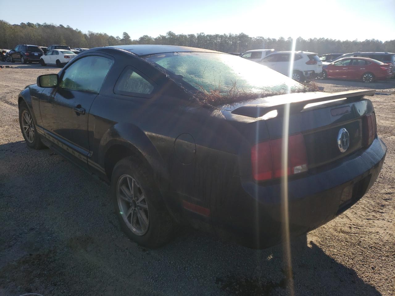 Photo 3 from auction – 2005 FORD MUSTANG with VIN 1ZVFT80N755152862
