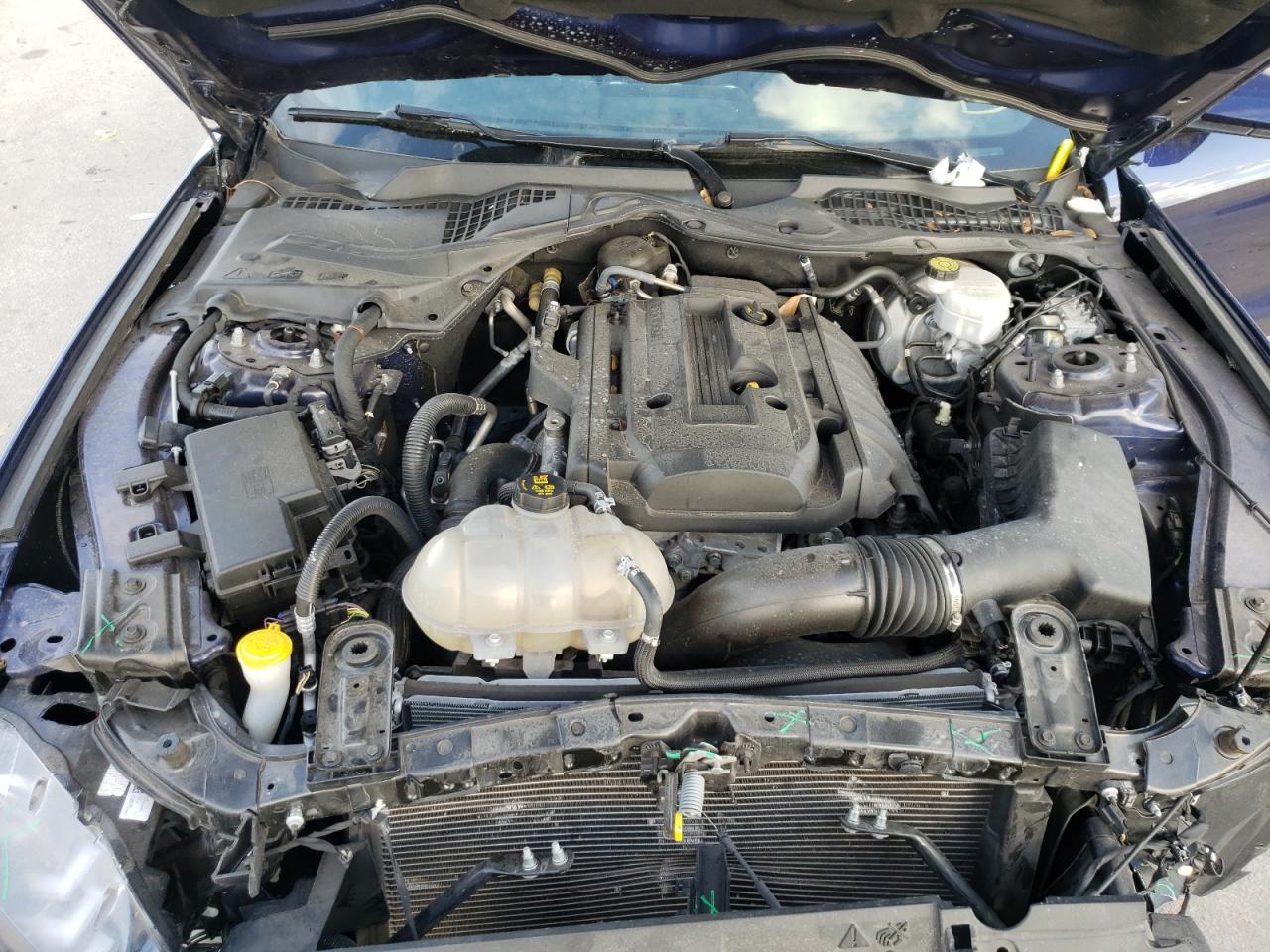 Photo 7 from auction – 2019 FORD MUSTANG with VIN 1FA6P8TH0K5117191