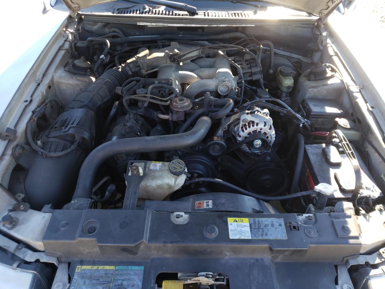 Photo 7 from auction – 2004 FORD MUSTANG with VIN 1FAFP40684F142784