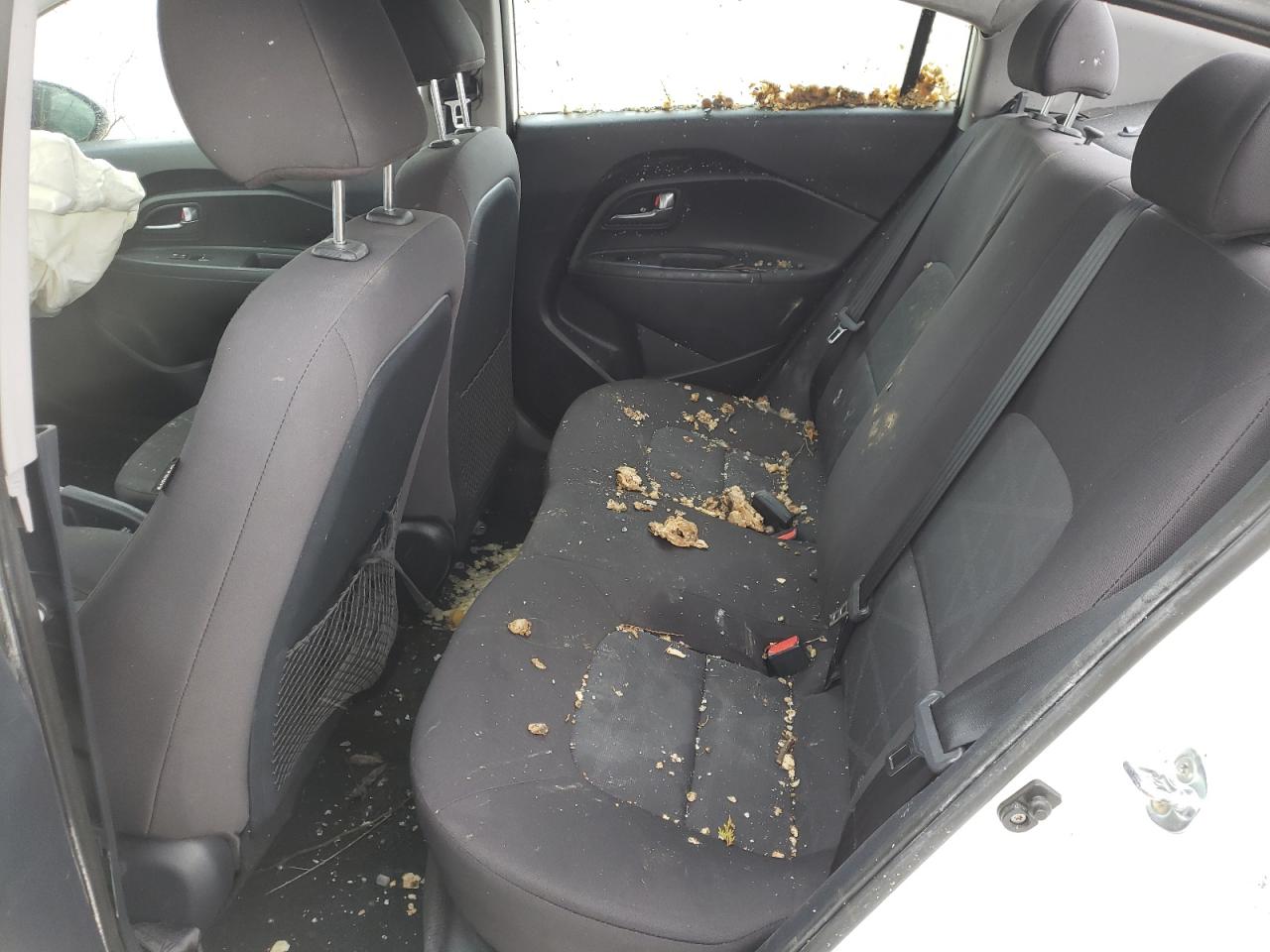 Photo 6 from auction – 2017 KIA RIO LX with VIN KNADM4A35H6015413