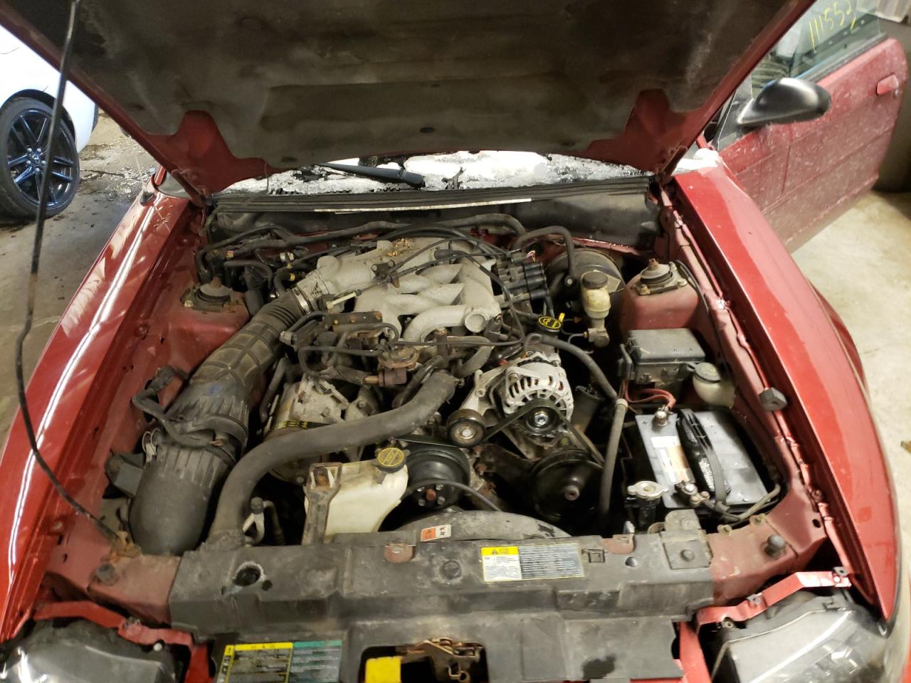 Photo 7 from auction – 2004 FORD MUSTANG with VIN 1FAFP44634F216512
