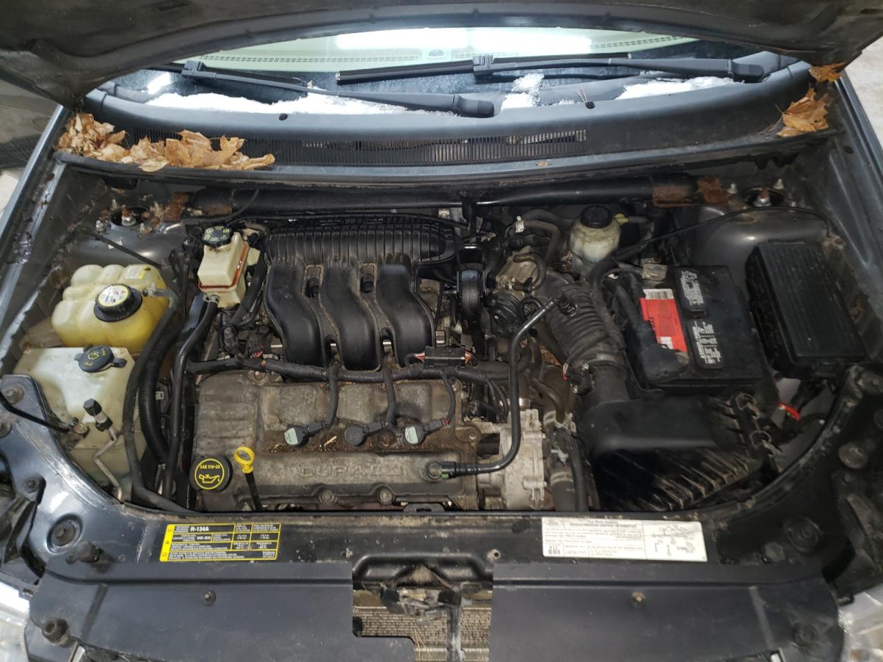 Фото 7 с аукциона – 2005 FORD FREESTYLE с VIN 1FMDK06165GA37284