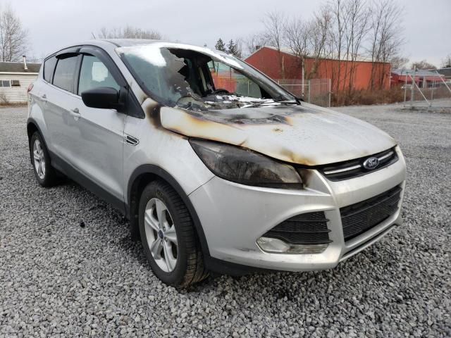 FORD ESCAPE SE 2014 with VIN 1FMCU9GX4EUC14087 - Photo from auction