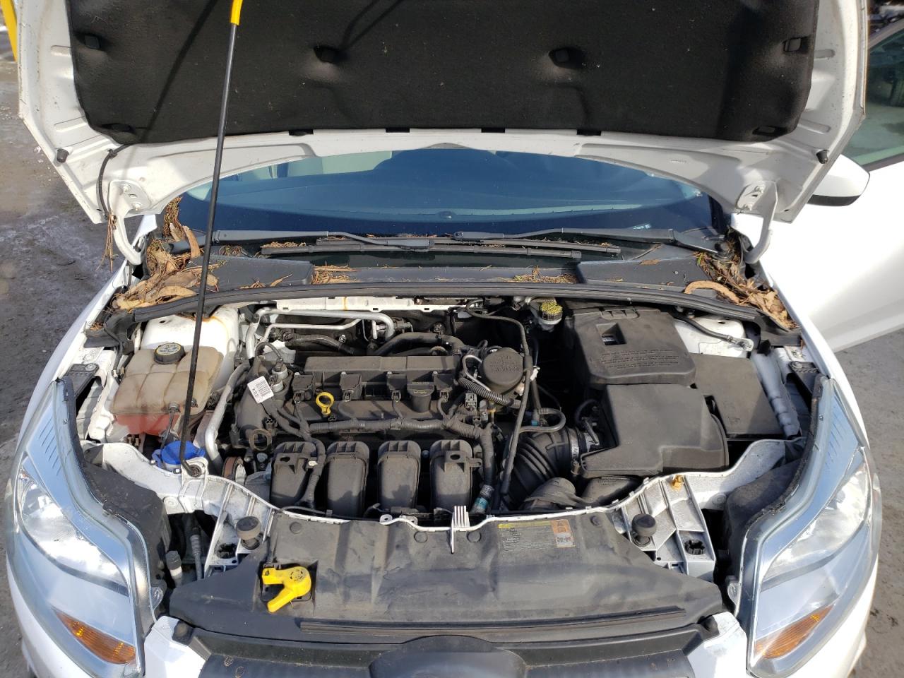 Photo 7 from auction – 2012 FORD FOCUS with VIN 1FAHP3K29CL268116