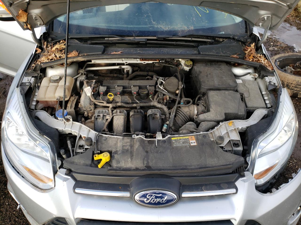 Photo 7 from auction – 2013 FORD FOCUS SE with VIN 1FADP3K24DL175942