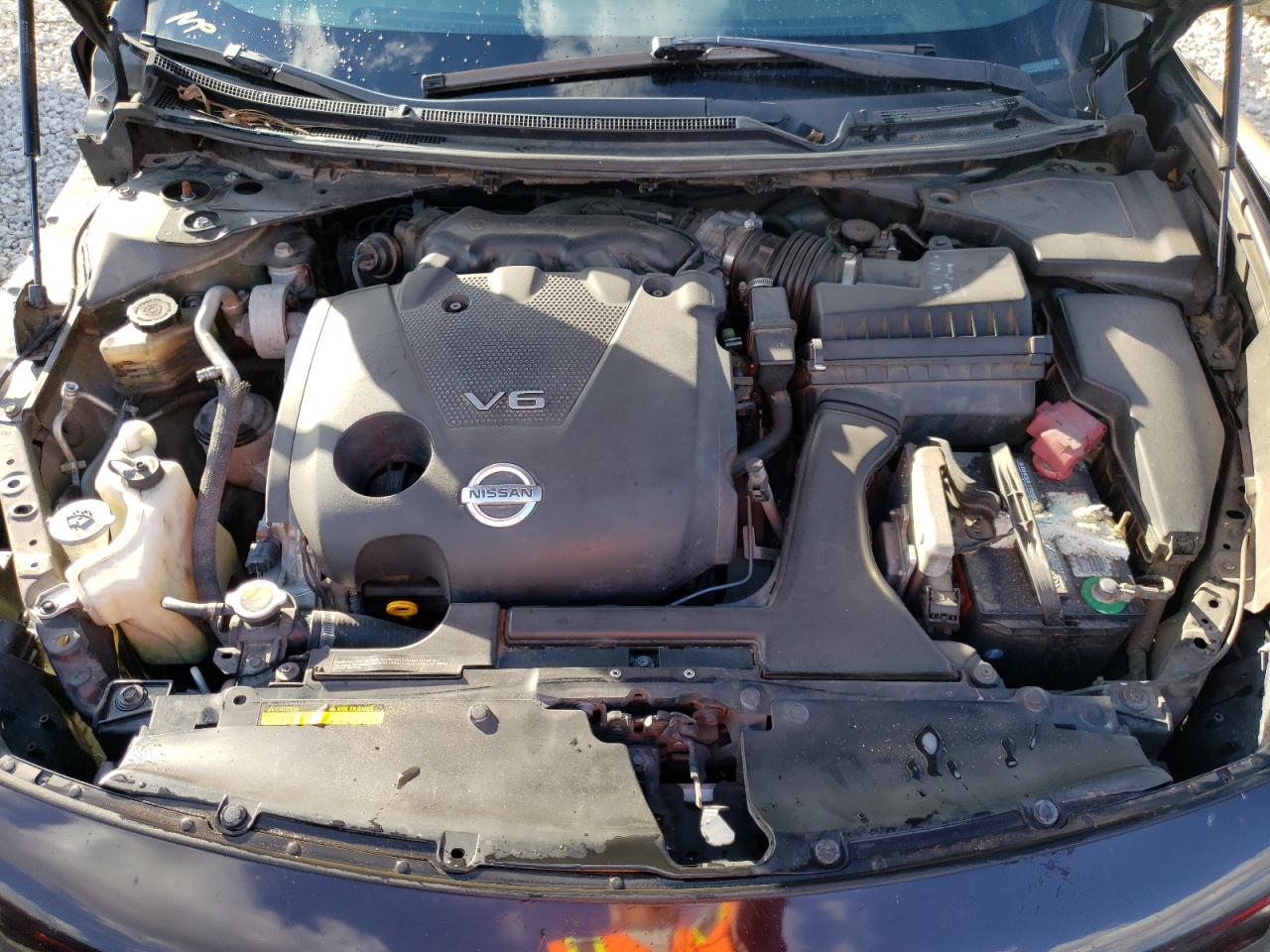 Photo 7 from auction – 2011 NISSAN MAXIMA S with VIN 1N4AA5AP4BC803704