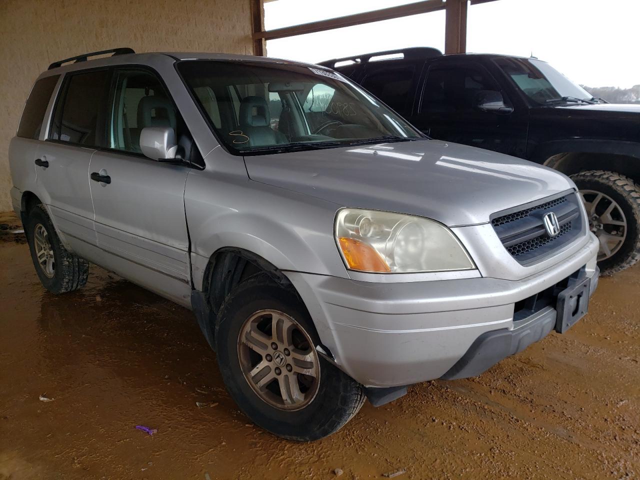 HONDA PILOT EXL 2005 с VIN 5FNYF18545B037262 - Фото с аукциона