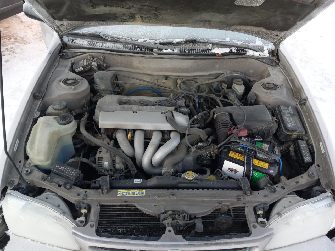 Photo 7 from auction – 1998 TOYOTA COROLLA VE with VIN 1NXBR12E6WZ039167