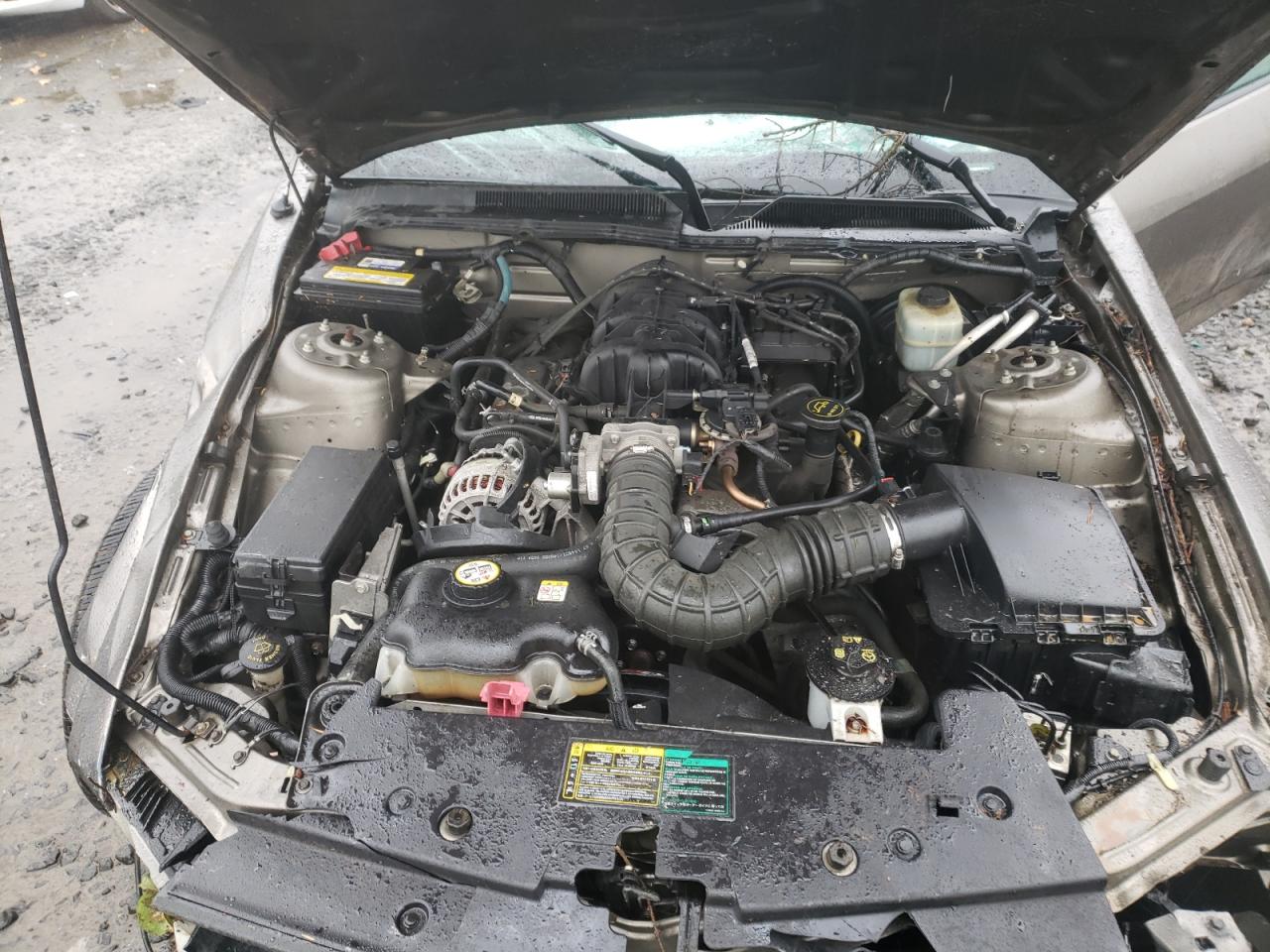 Photo 7 from auction – 2005 FORD MUSTANG with VIN 1ZVFT80N055130668
