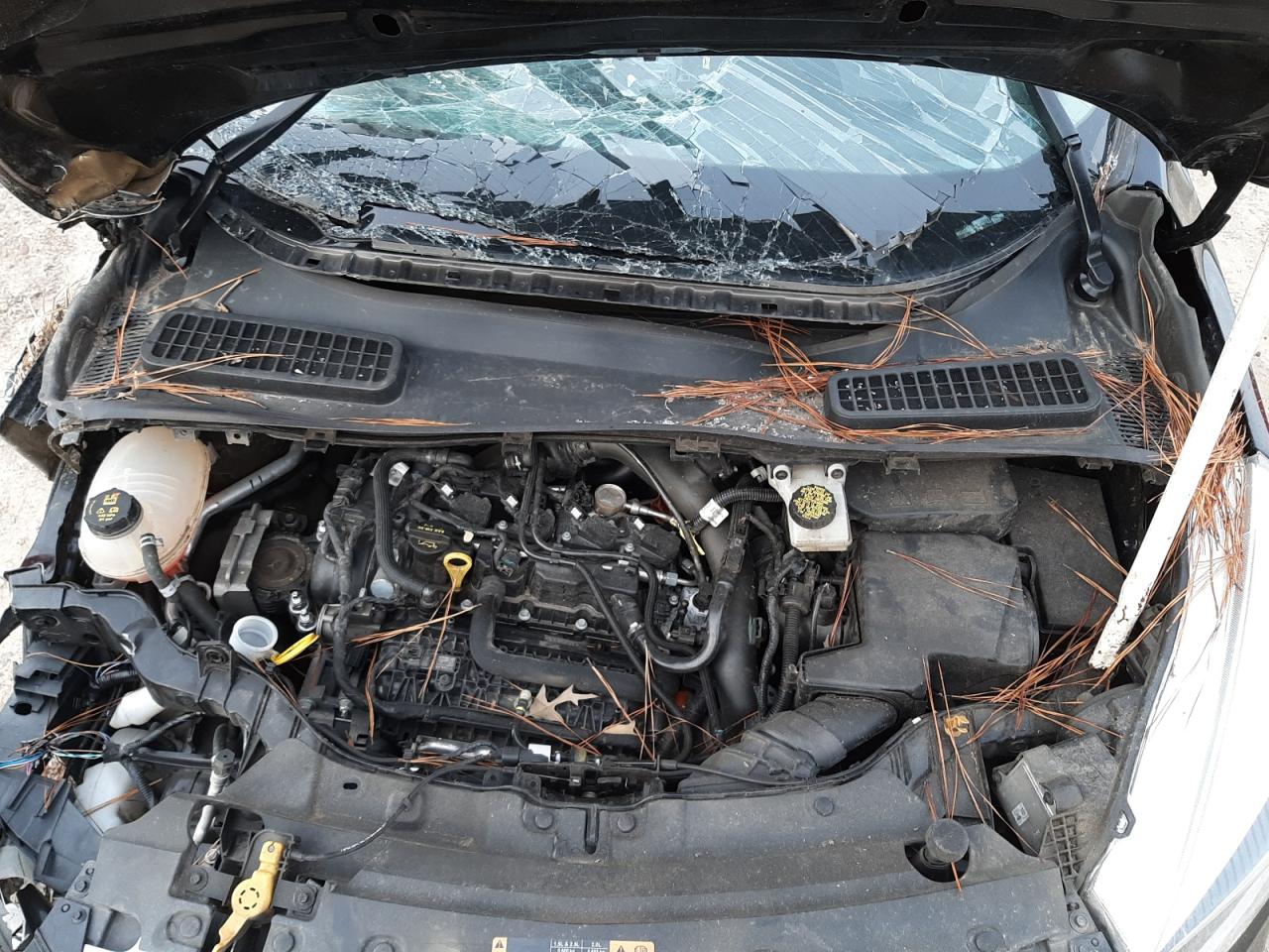 Photo 7 from auction – 2018 FORD ESCAPE SEL with VIN 1FMCU9HDXJUA90177