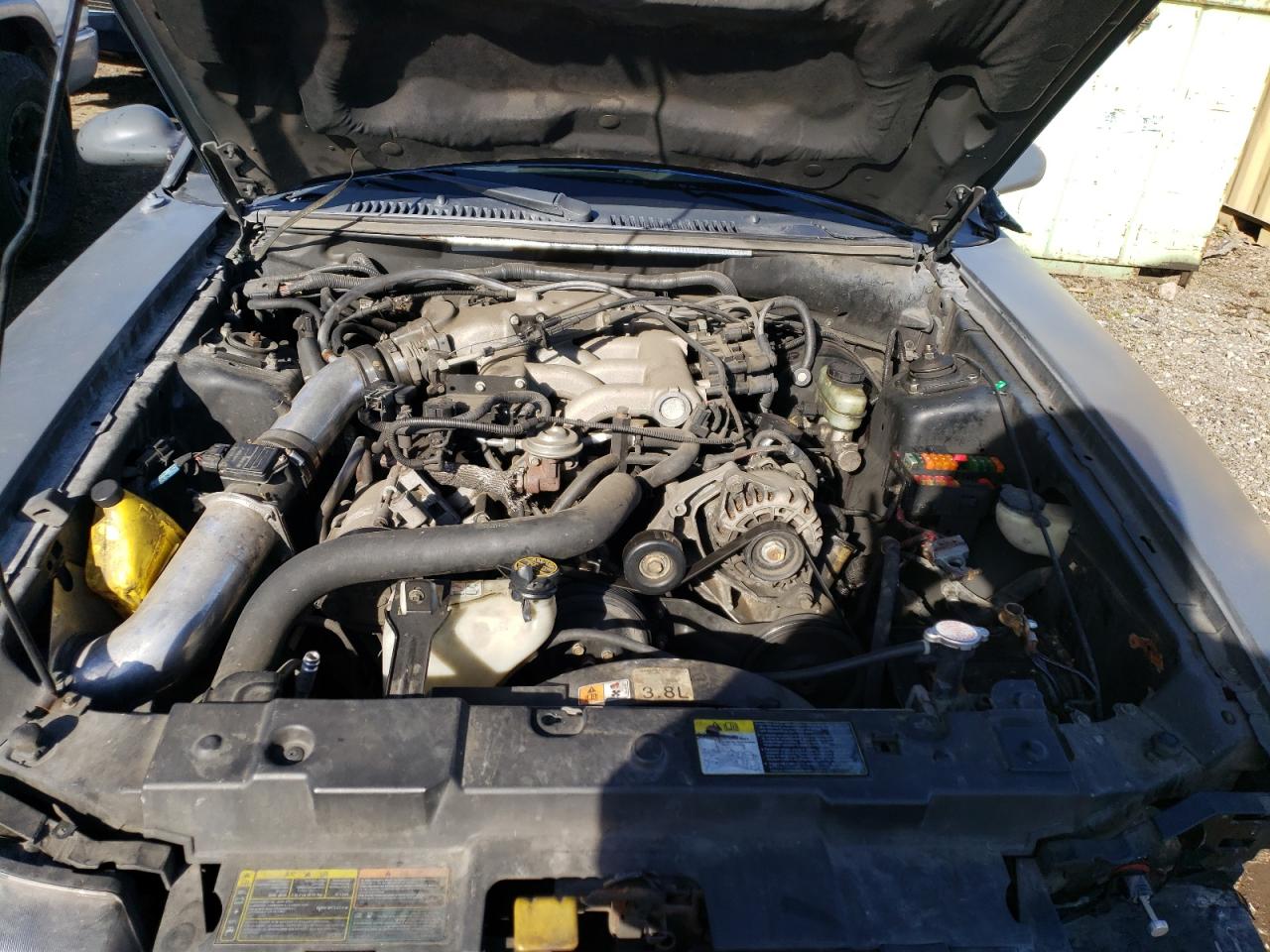 Photo 7 from auction – 2002 FORD MUSTANG with VIN 1FAFP40442F143104