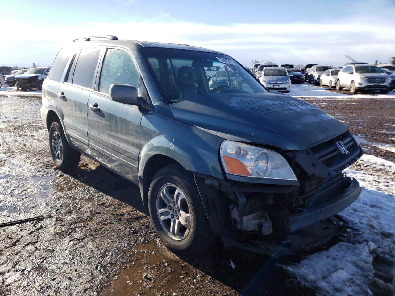 HONDA PILOT EXL 2005 with VIN 2HKYF18655H514355 - Photo from auction