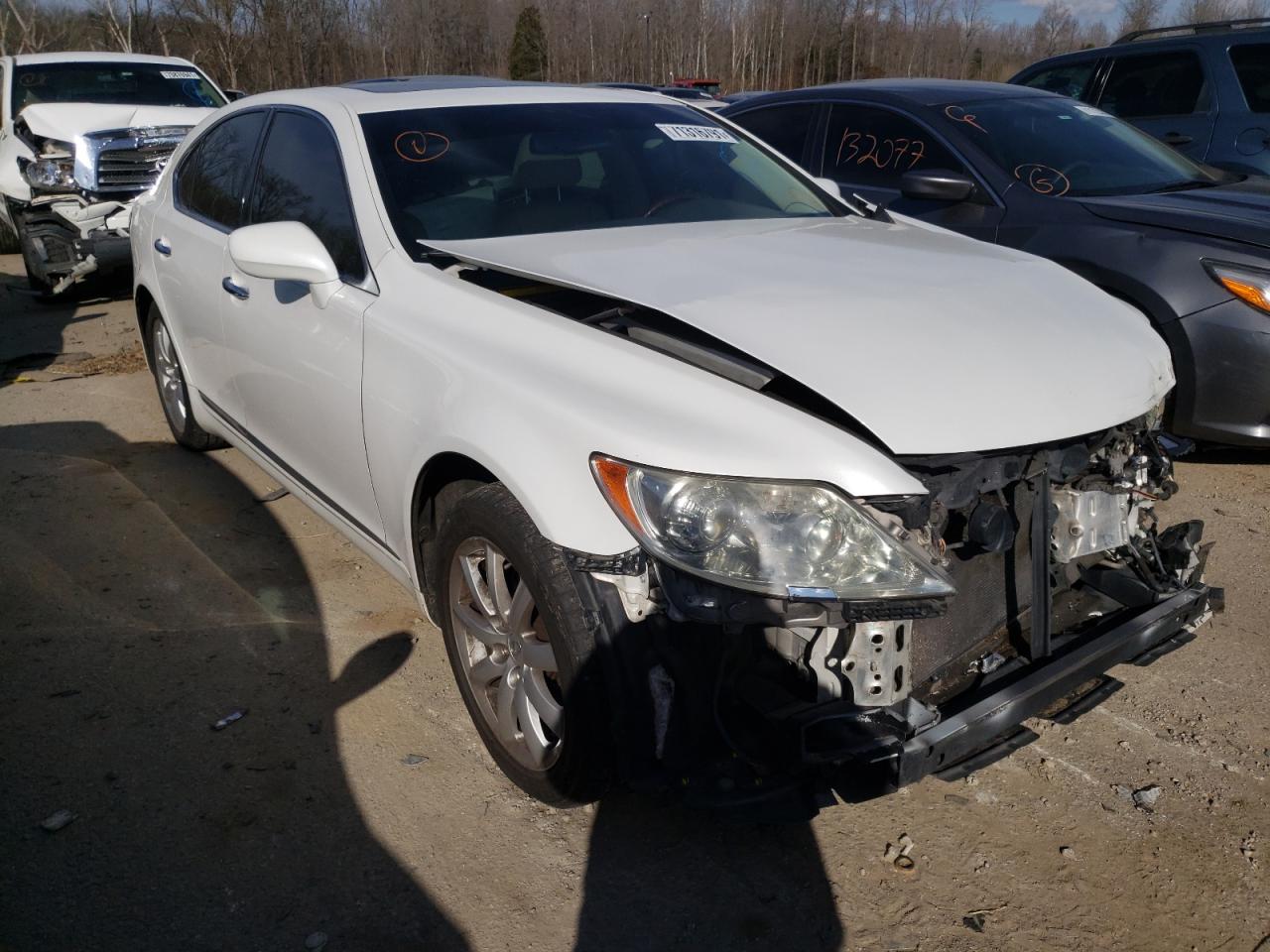 LEXUS LS 460 2008 with VIN JTHBL46F285081776 - Photo from auction