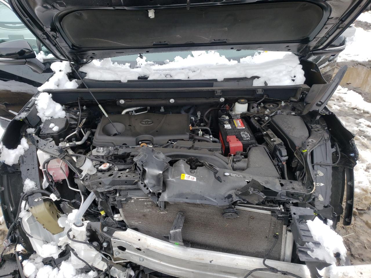 Photo 7 from auction – 2020 TOYOTA RAV4 XLE with VIN 2T3W1RFV7LC034646