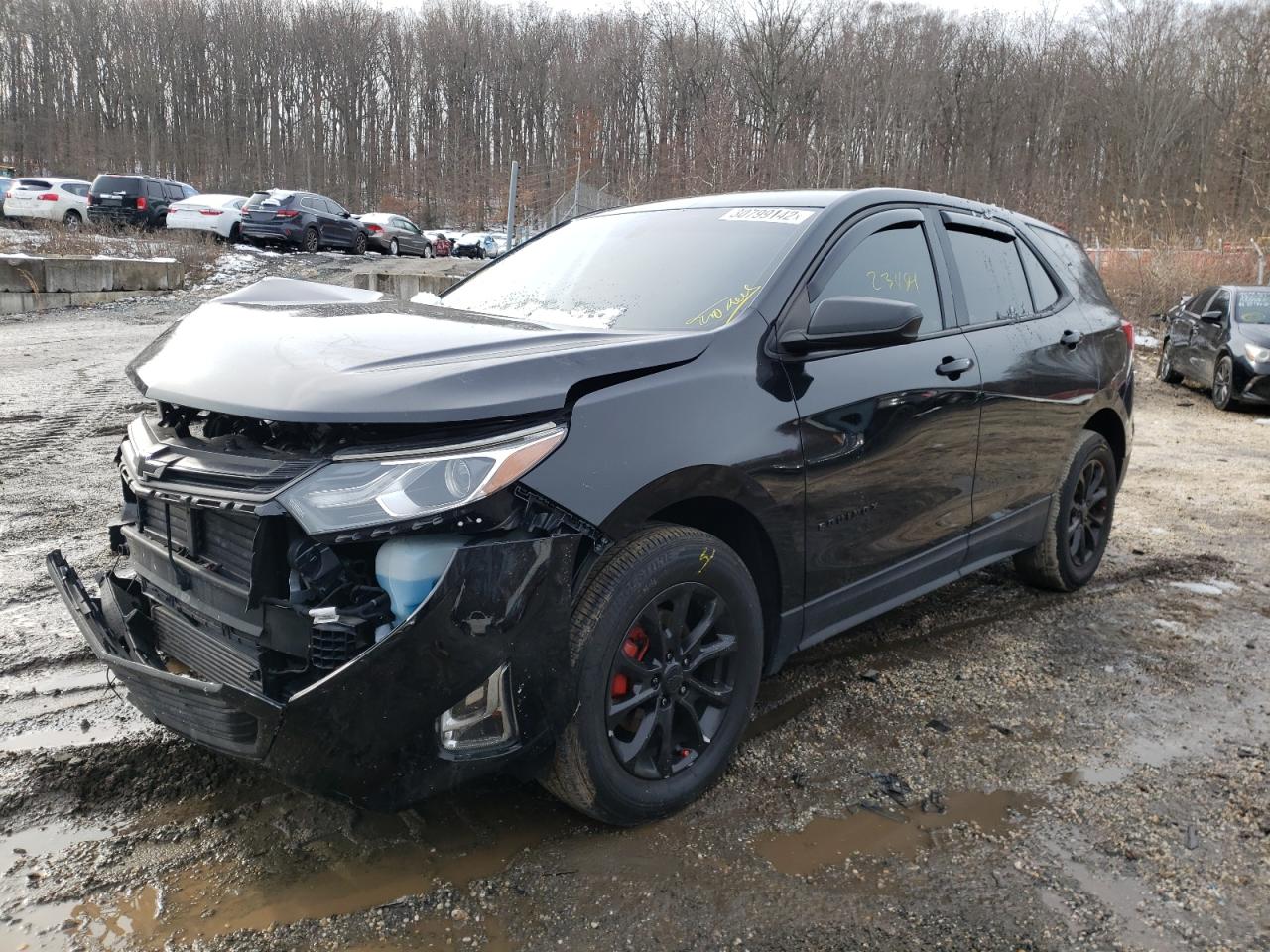 Photo 2 from auction – 2019 CHEVROLET EQUINOX LS with VIN 3GNAXSEV5KL101967
