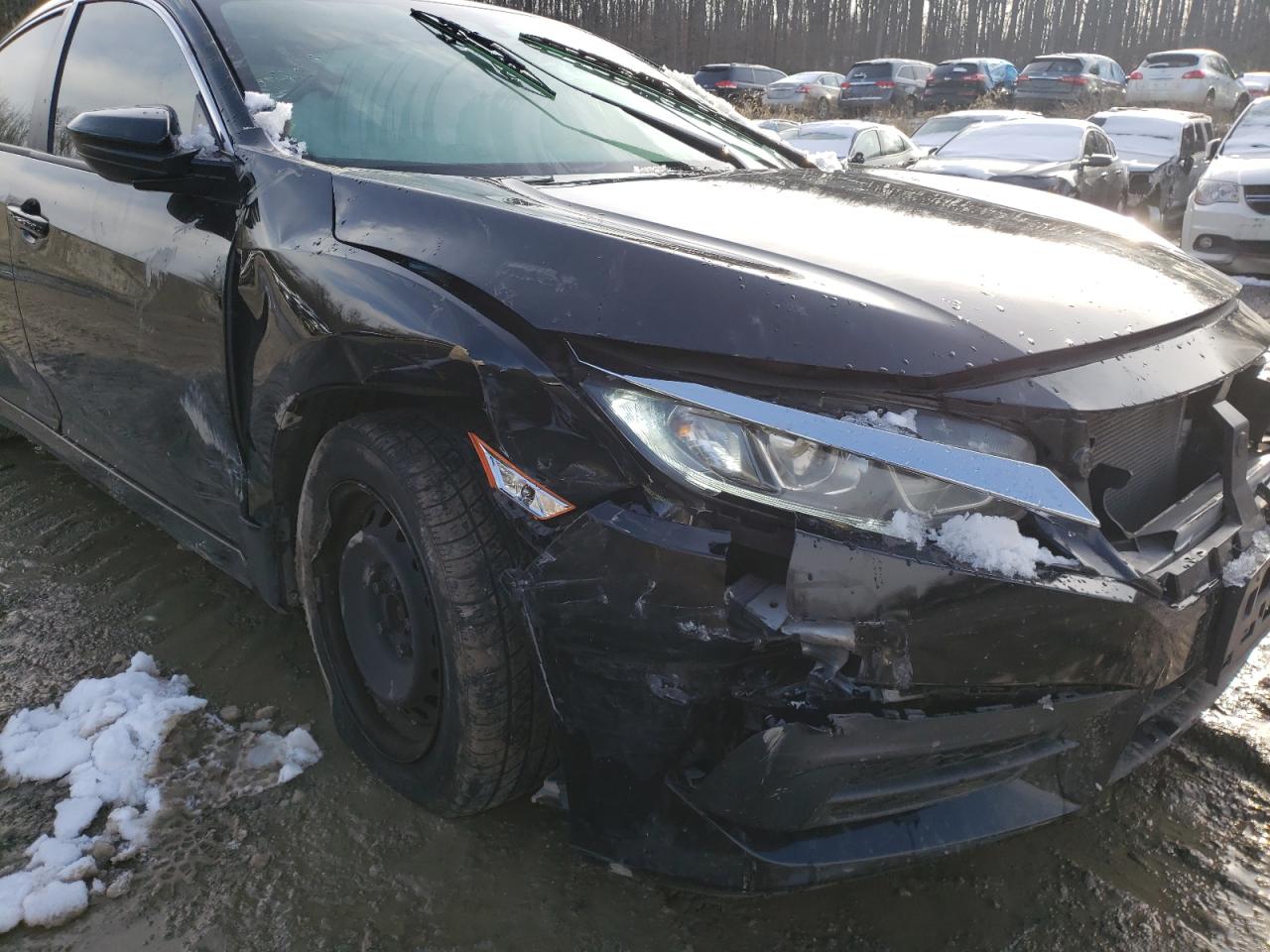 Photo 9 from auction – 2017 HONDA CIVIC LX with VIN 2HGFC2F55HH558113