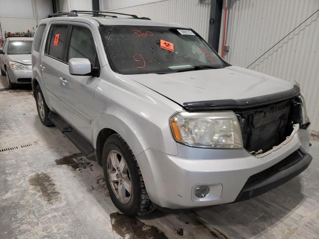 HONDA PILOT EXL 2009 with VIN 5FNYF48659B004917 - Photo from auction