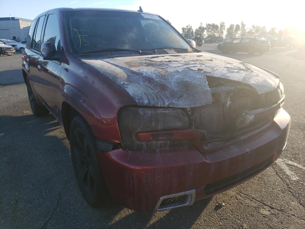 CHEVROLET TRAILBLAZE 2007 with VIN 1GNES13H272196679 - Photo from auction