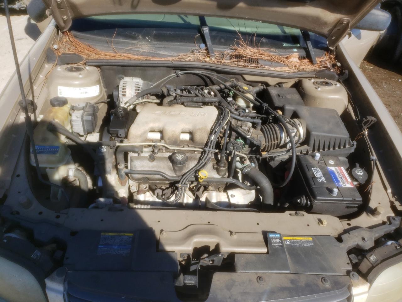 Photo 7 from auction – 2003 CHEVROLET MALIBU with VIN 1G1ND52J03M546753