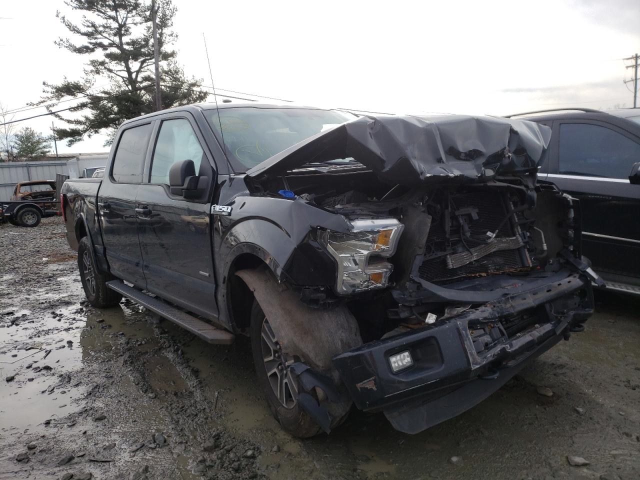FORD F150 SUPER 2015 with VIN 1FTEW1EP3FFB02267 - Photo from auction